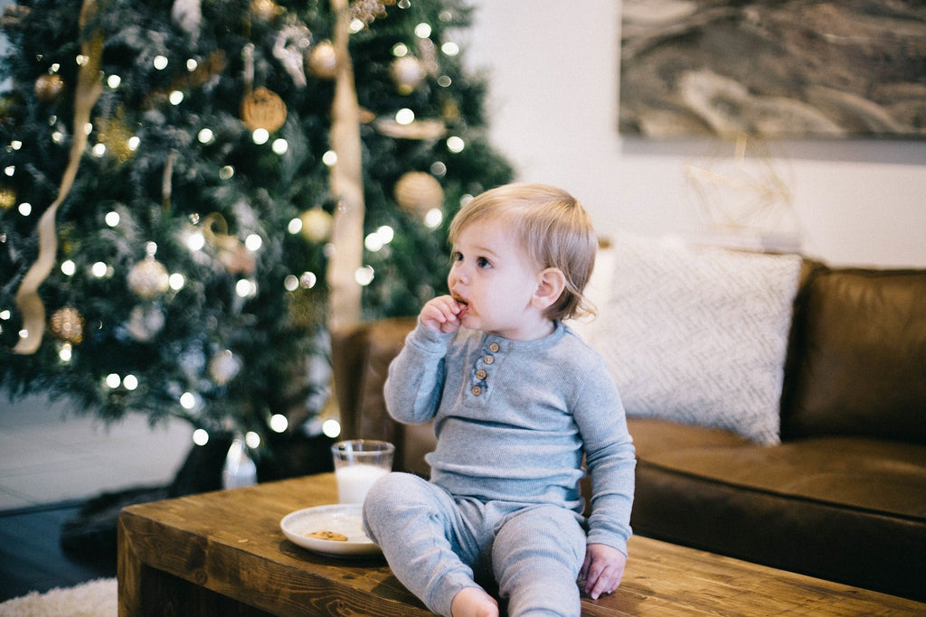 Why is it Important to Toddler-Proof Christmas?-Brisco Baby