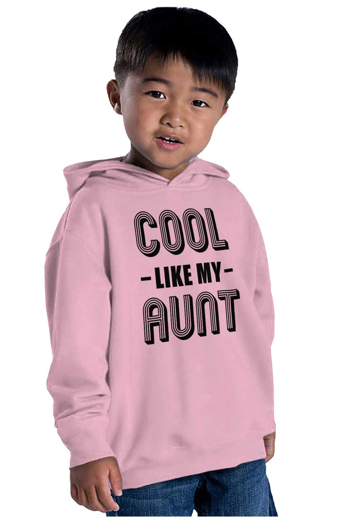 Aunt is Single Toddler Pullover Hoodie-Direct To Garment Print-Brisco Baby