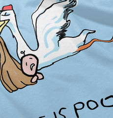 Stork Infant Toddler T Shirt-Direct To Garment Print-Brisco Baby