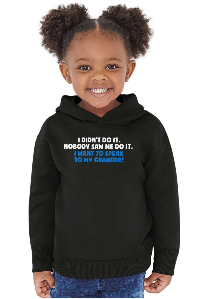 I Didn't Do It Toddler Pullover Hoodie-Direct To Garment Print-Brisco Baby