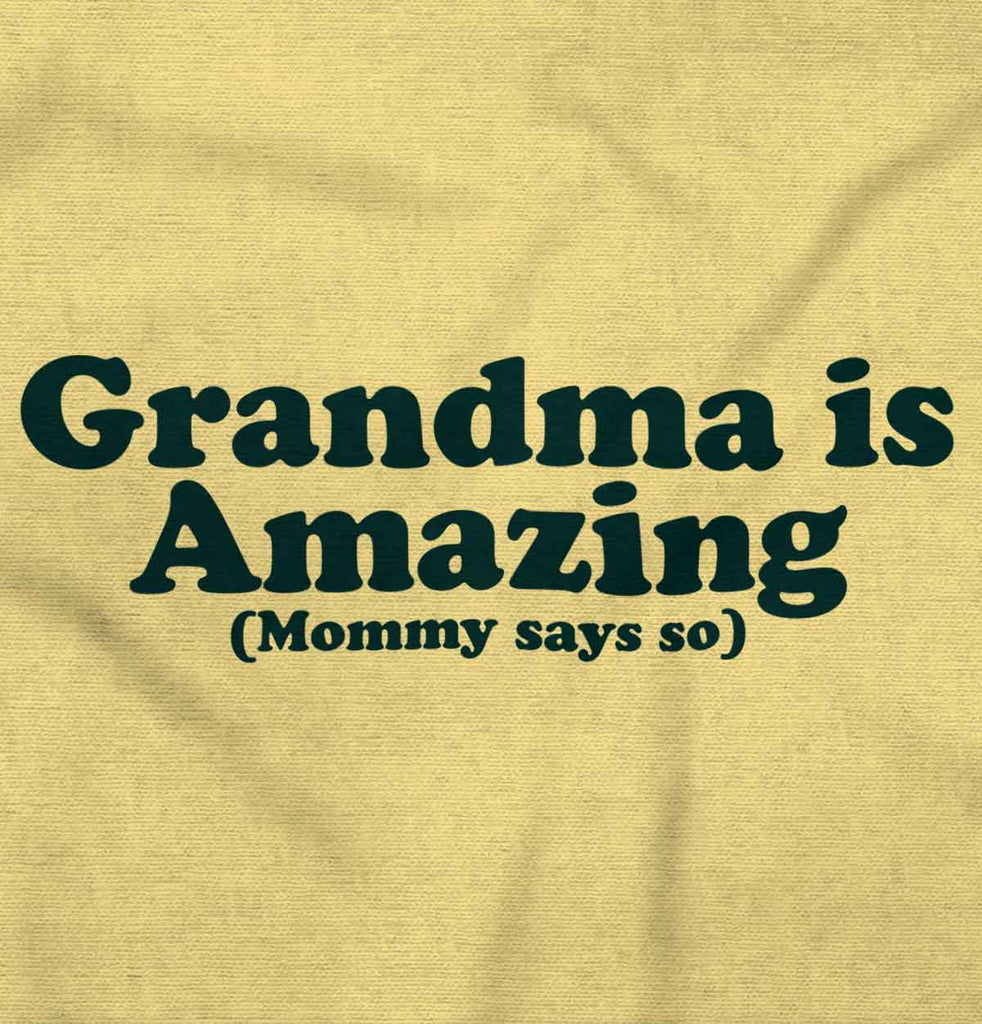 Grandma Amazing Infant Toddler T Shirt-Direct To Garment Print-Brisco Baby