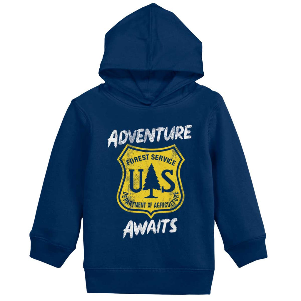 Adventure Awaits Toddler Pullover Hoodie-Direct To Garment Print-Brisco Baby