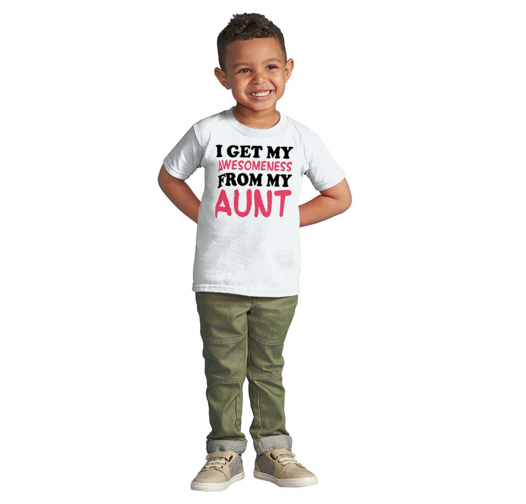 Awesomeness Auntie Infant Toddler T Shirt-Direct To Garment Print-Brisco Baby