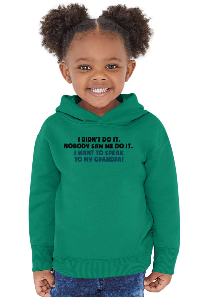 I Didn't Do It Toddler Pullover Hoodie-Direct To Garment Print-Brisco Baby