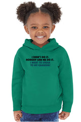I Didn't Do It Toddler Pullover Hoodie-Direct To Garment Print-Brisco Baby