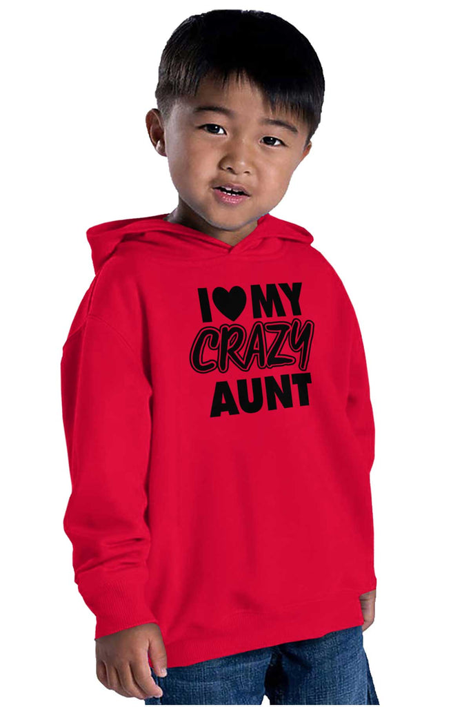 Crazy Aunt Toddler Pullover Hoodie-Direct To Garment Print-Brisco Baby