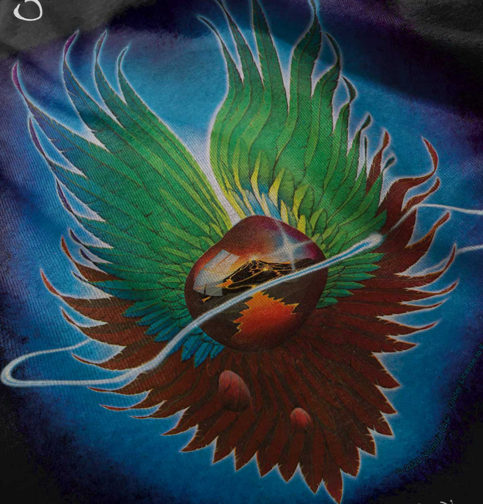 Evolution Journey Infant Baby Bib-Direct To Garment Print-Brisco Baby