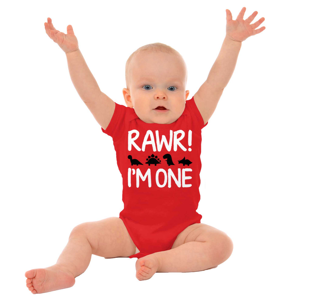 Rawr I'm One Romper Bodysuit-Direct To Garment Print-Brisco Baby