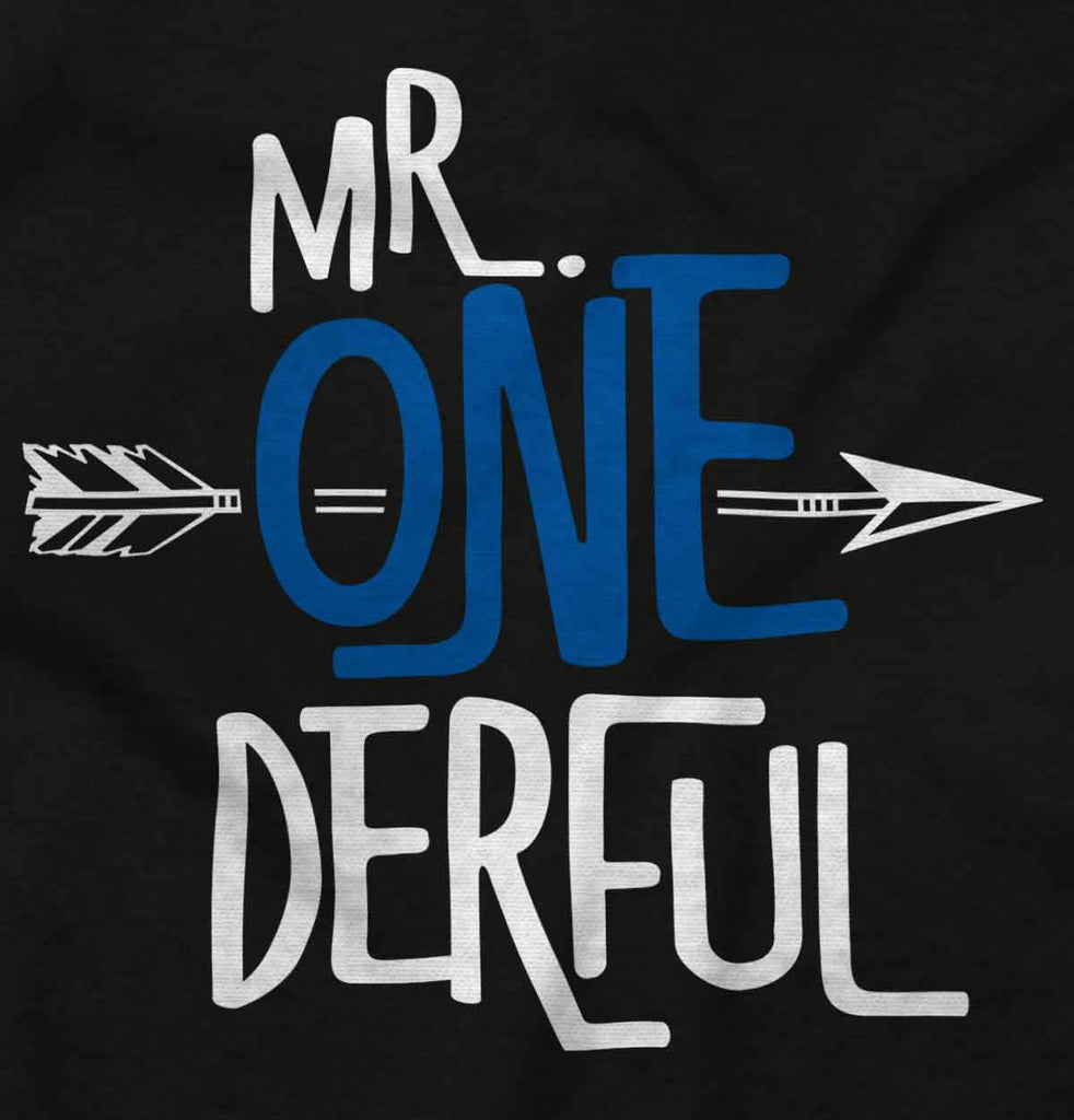 Mr. Onederful Infant Toddler T Shirt-Direct To Garment Print-Brisco Baby