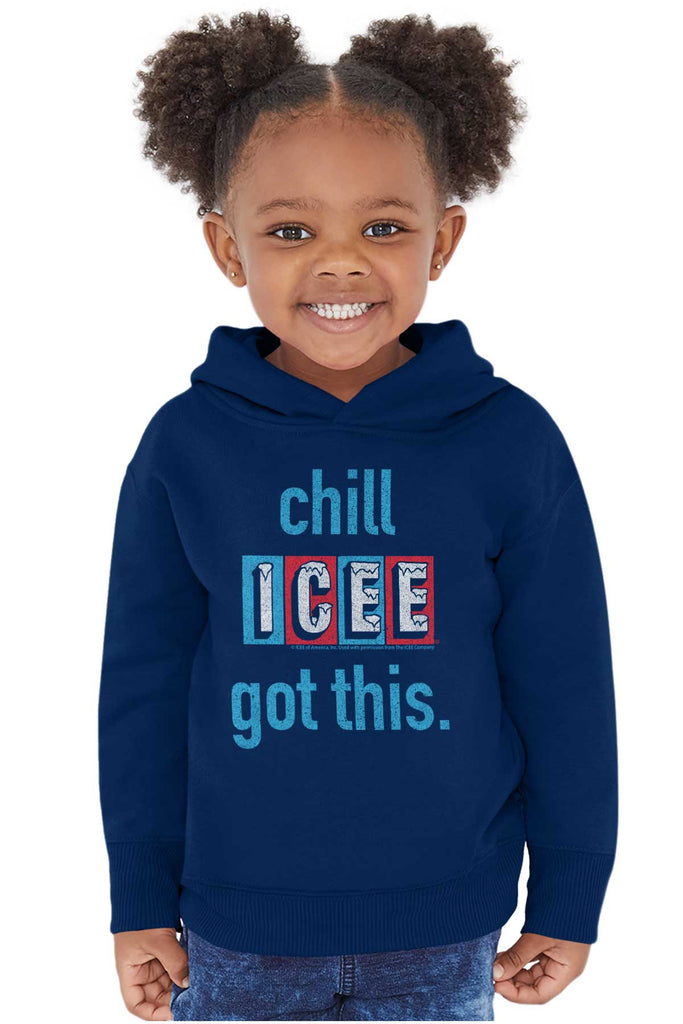 I Got This Toddler Pullover Hoodie-Direct To Garment Print-Brisco Baby