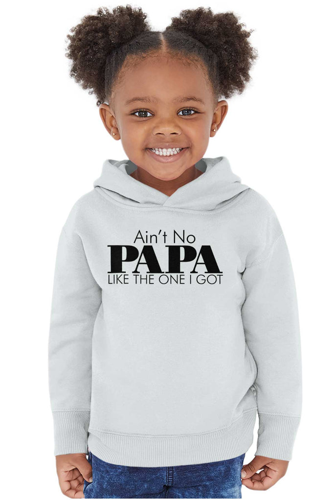 No Papa Like Me Toddler Pullover Hoodie-Direct To Garment Print-Brisco Baby