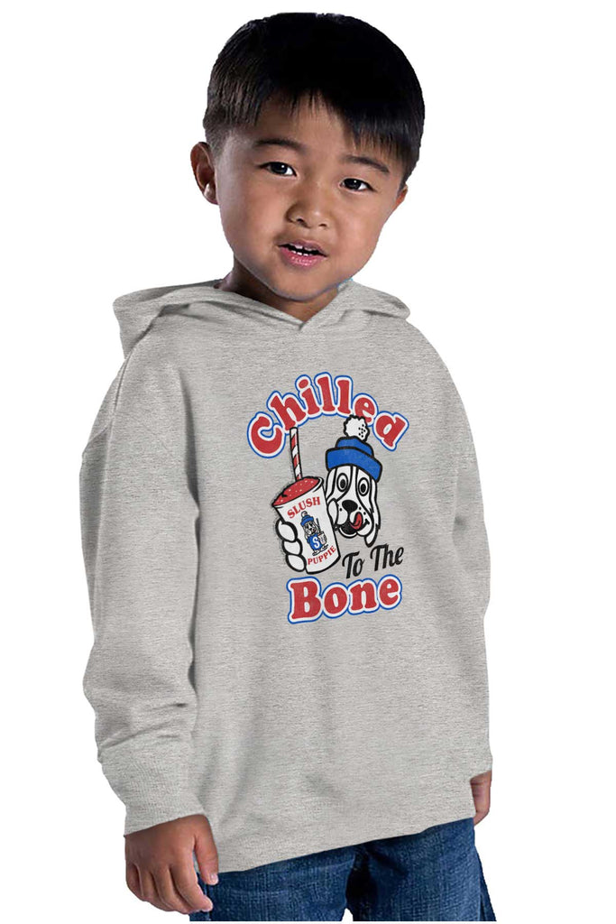 Chilled To The Bone Toddler Pullover Hoodie-Direct To Garment Print-Brisco Baby