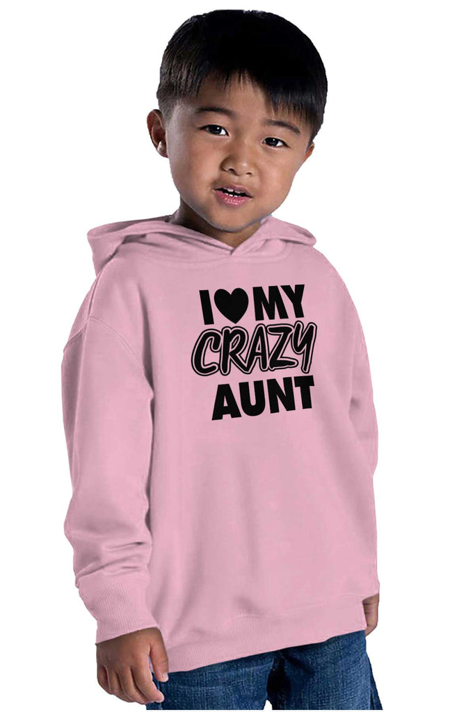 Crazy Aunt Toddler Pullover Hoodie-Direct To Garment Print-Brisco Baby