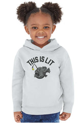 This Is Lit Pullover Hoodie-Direct To Garment Print-Brisco Baby