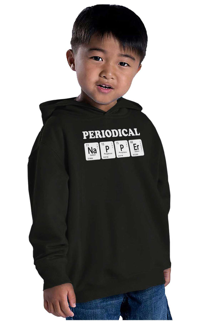Nap Periodically Toddler Pullover Hoodie-Direct To Garment Print-Brisco Baby