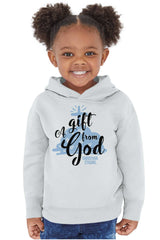 Gift From God Toddler Pullover Hoodie-Direct To Garment Print-Brisco Baby