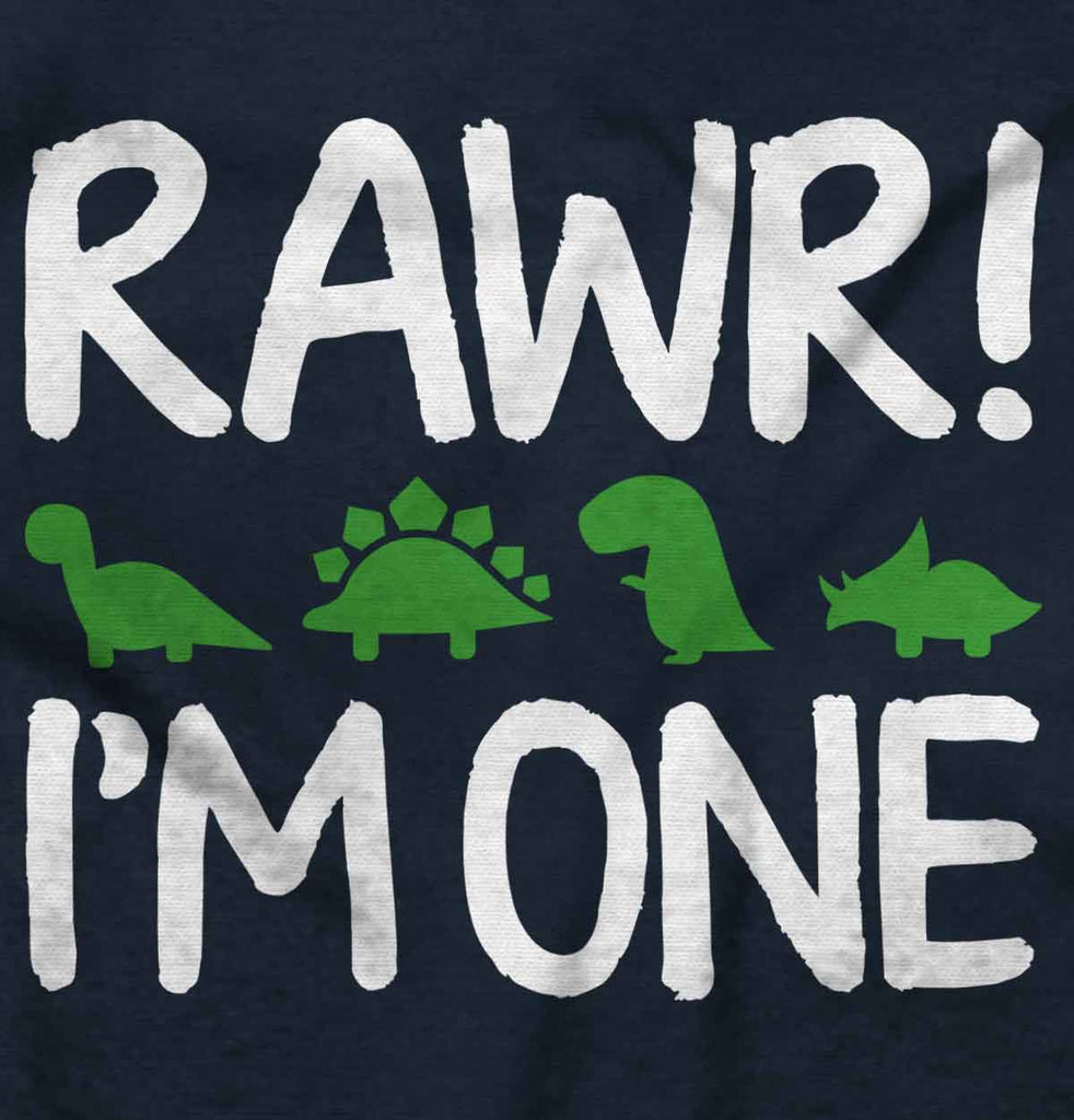 Rawr I'm One Romper Bodysuit-Direct To Garment Print-Brisco Baby