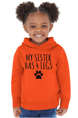 Sister has 4 legs Toddler Pullover Hoodie-Direct To Garment Print-Brisco Baby