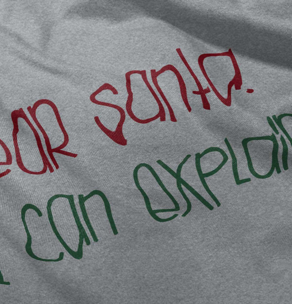 Dear Santa Can Explain Infant Toddler T Shirt-Direct To Garment Print-Brisco Baby