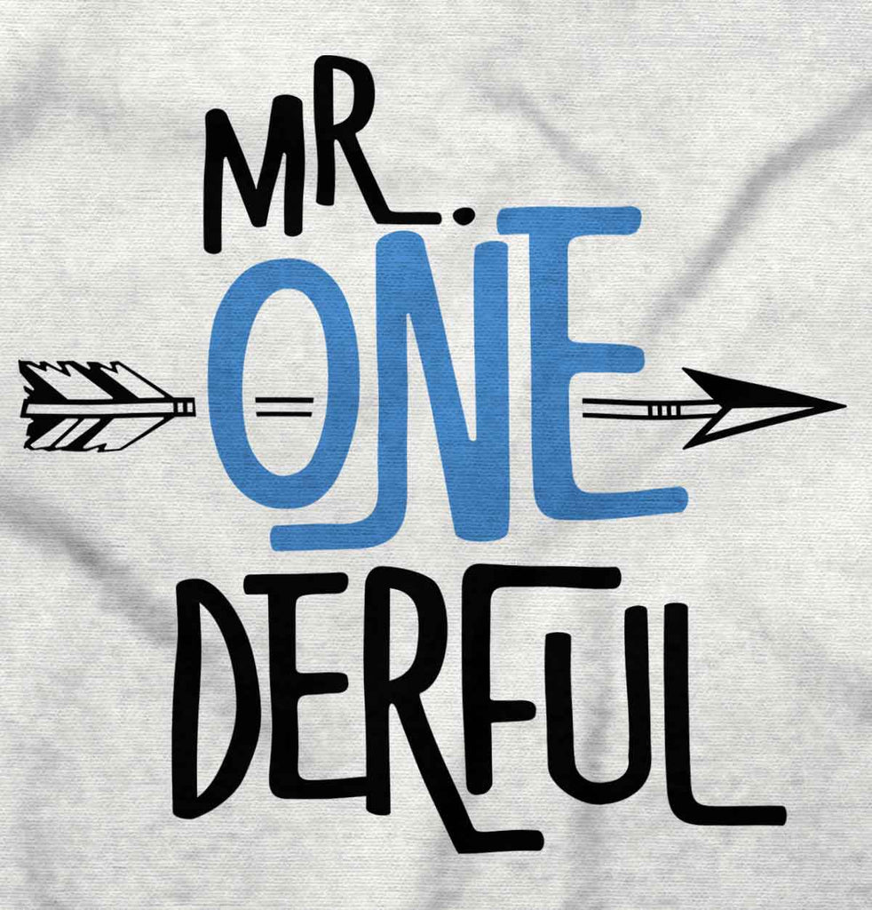 Mr. Onederful Infant Toddler T Shirt-Direct To Garment Print-Brisco Baby