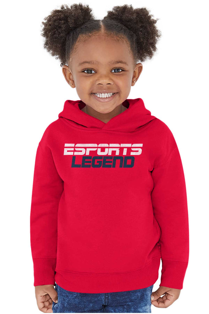 Sports Legend Professional Gamer Toddler Pullover Hoodie-Direct To Garment Print-Brisco Baby