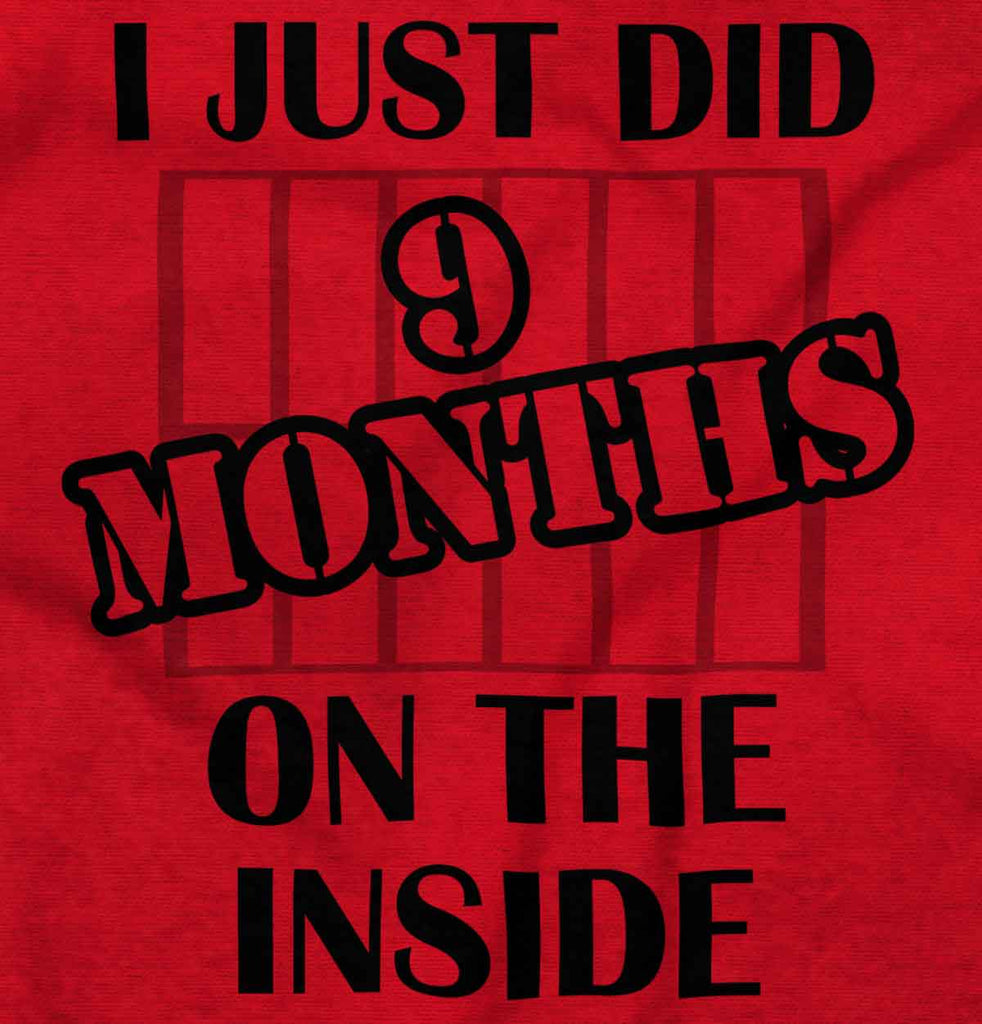 9 Months On The Inside Toddler Pullover Hoodie-Direct To Garment Print-Brisco Baby