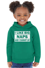 Big Naps Toddler Pullover Hoodie-Direct To Garment Print-Brisco Baby