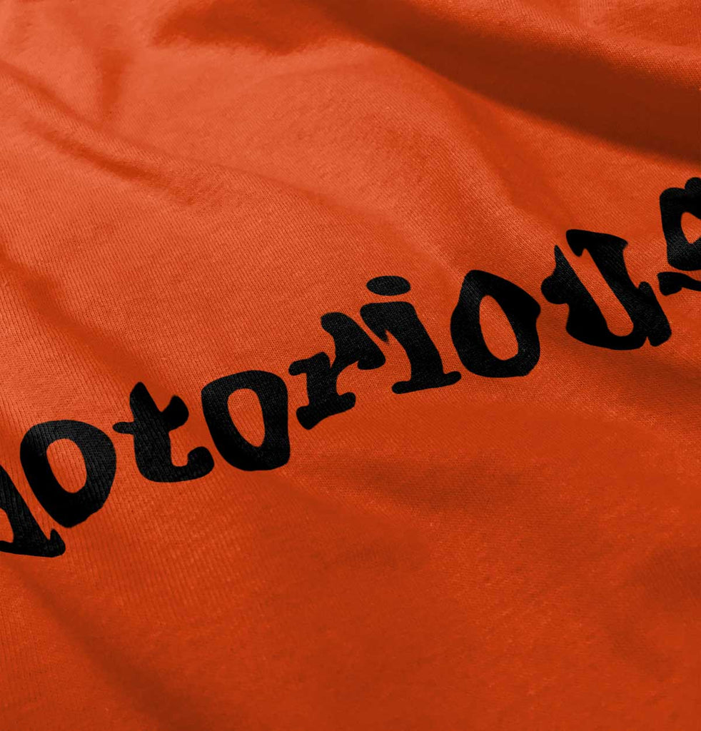 Notorious Romper Bodysuit-Direct To Garment Print-Brisco Baby