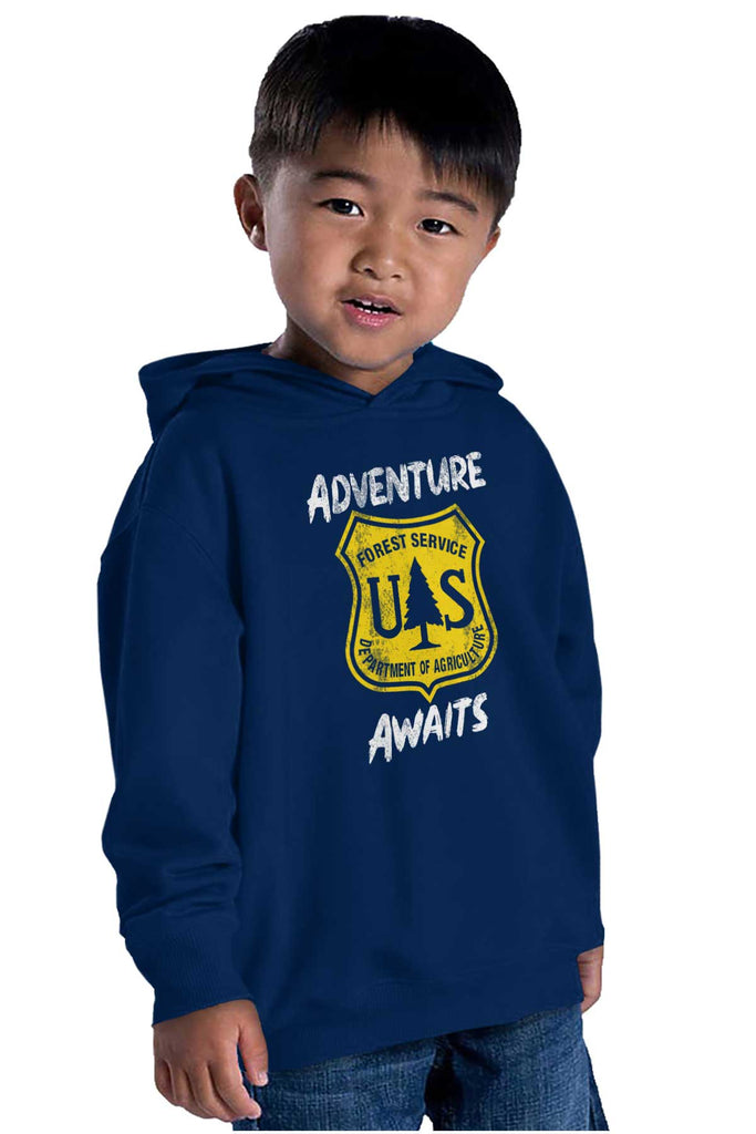 Adventure Awaits Toddler Pullover Hoodie-Direct To Garment Print-Brisco Baby