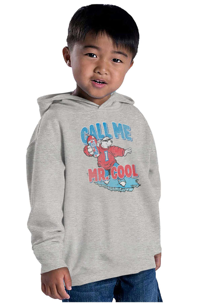 Call Me Mr. Cool Toddler Pullover Hoodie-Direct To Garment Print-Brisco Baby