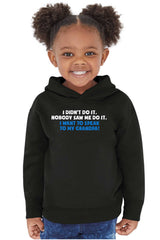 I Didn't Do It Toddler Pullover Hoodie-Direct To Garment Print-Brisco Baby