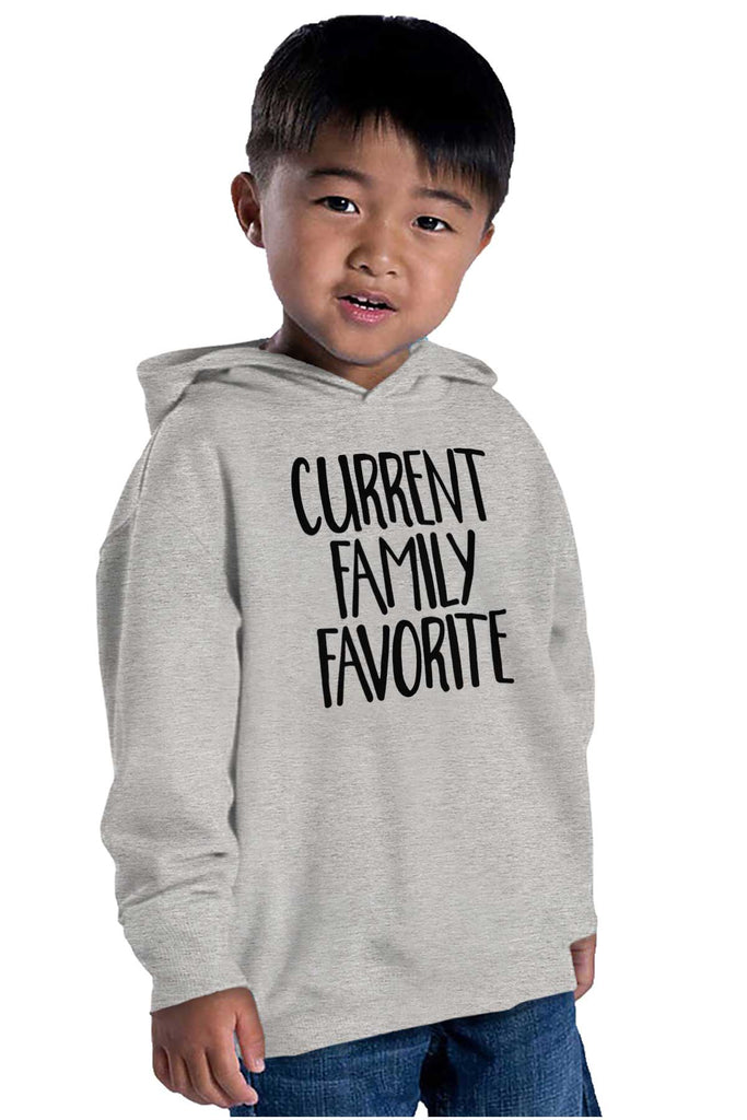 Family Favorite Toddler Pullover Hoodie-Direct To Garment Print-Brisco Baby
