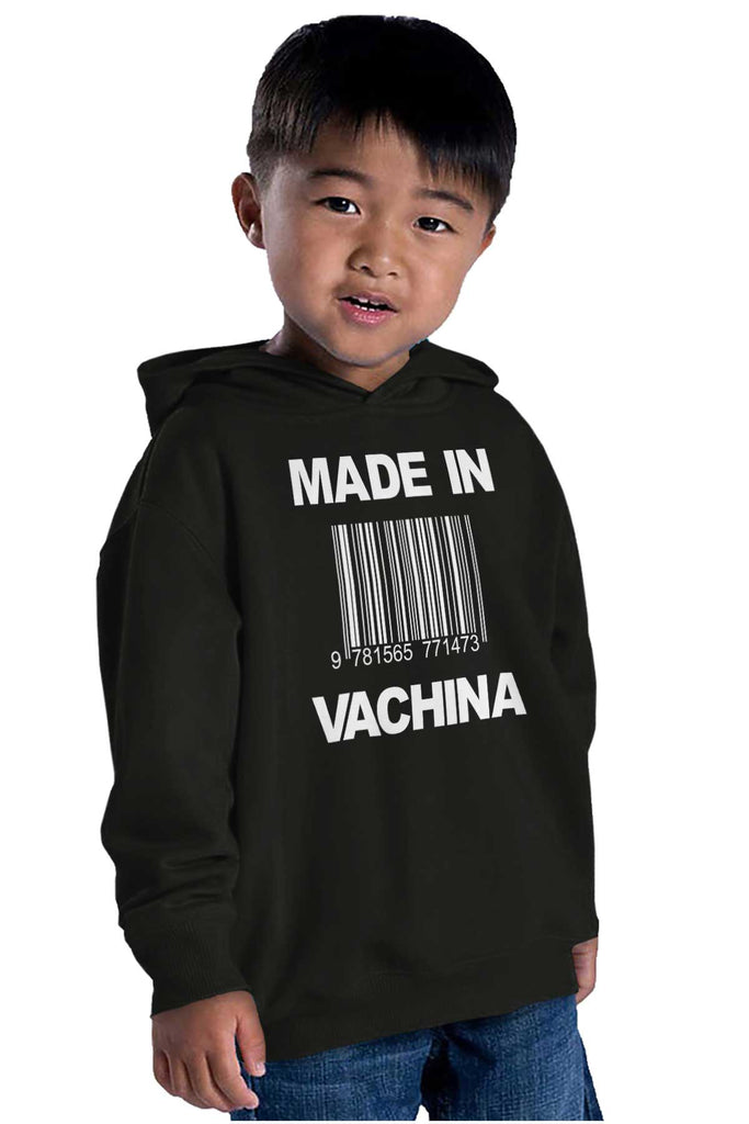Made In Vachina Toddler Pullover Hoodie-Direct To Garment Print-Brisco Baby