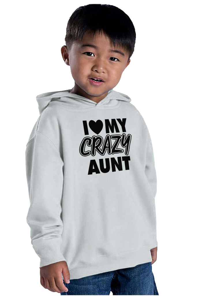 Crazy Aunt Toddler Pullover Hoodie-Direct To Garment Print-Brisco Baby