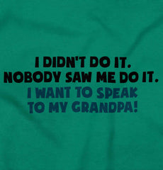 I Didn't Do It Toddler Pullover Hoodie-Direct To Garment Print-Brisco Baby