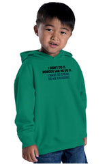 I Didn't Do It Toddler Pullover Hoodie-Direct To Garment Print-Brisco Baby