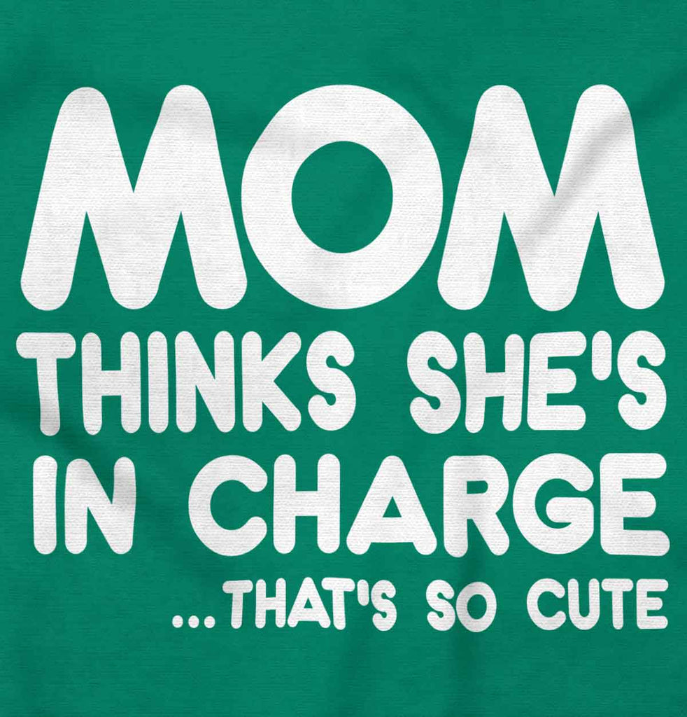 In Charge Toddler Pullover Hoodie-Direct To Garment Print-Brisco Baby