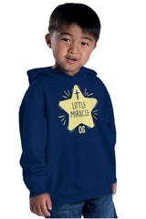 Little Miracle Toddler Pullover Hoodie-Direct To Garment Print-Brisco Baby