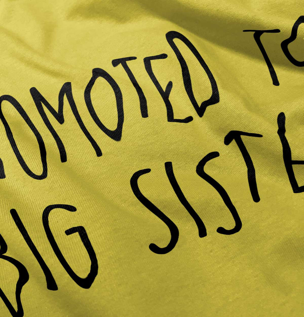 Promoted To Big Sister Romper Bodysuit-Direct To Garment Print-Brisco Baby