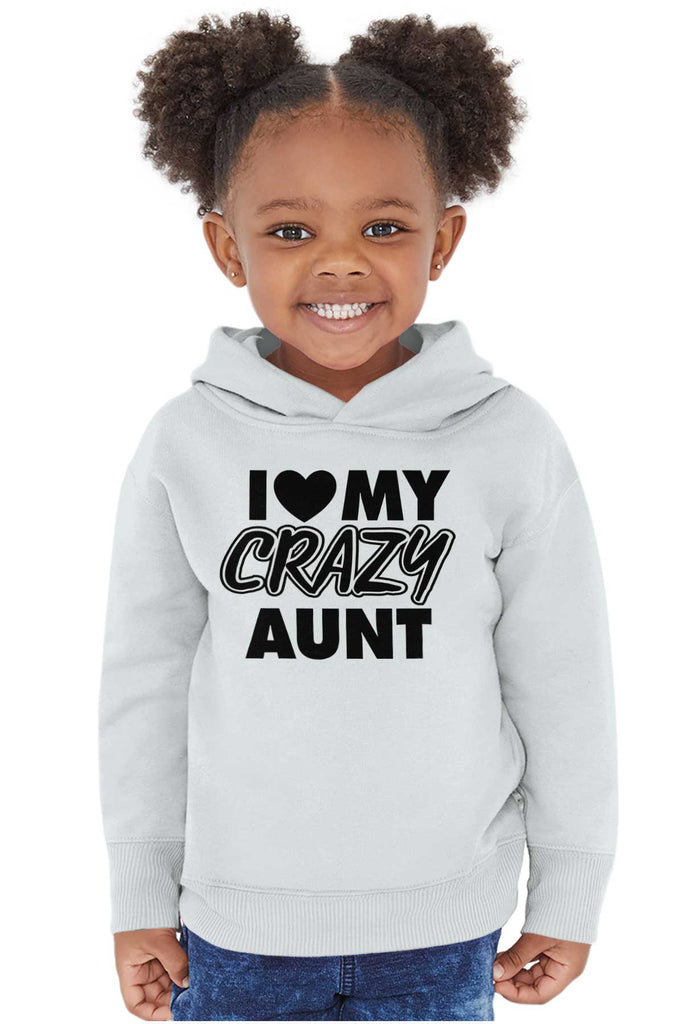 Crazy Aunt Toddler Pullover Hoodie-Direct To Garment Print-Brisco Baby