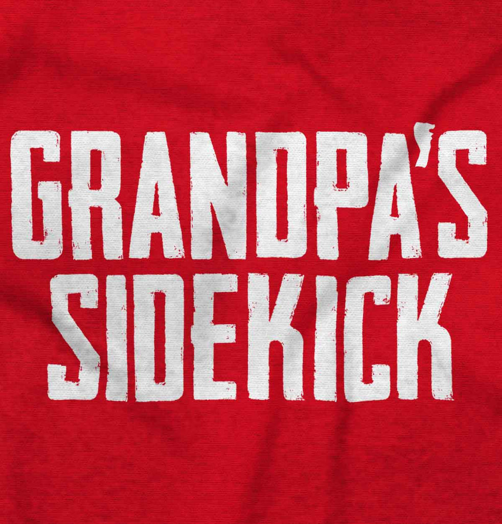 Grandpa's Sidekick Baby Polka Dot Skirt Dress-Direct To Garment Print-Brisco Baby