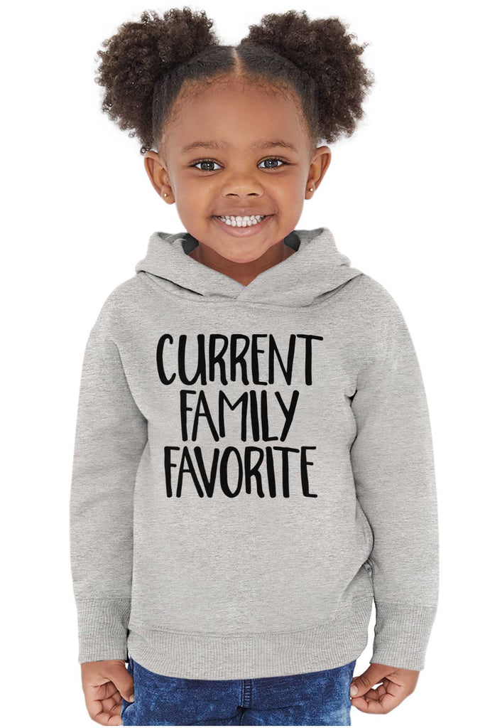 Family Favorite Toddler Pullover Hoodie-Direct To Garment Print-Brisco Baby