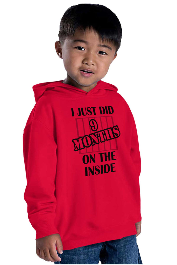 9 Months On The Inside Toddler Pullover Hoodie-Direct To Garment Print-Brisco Baby