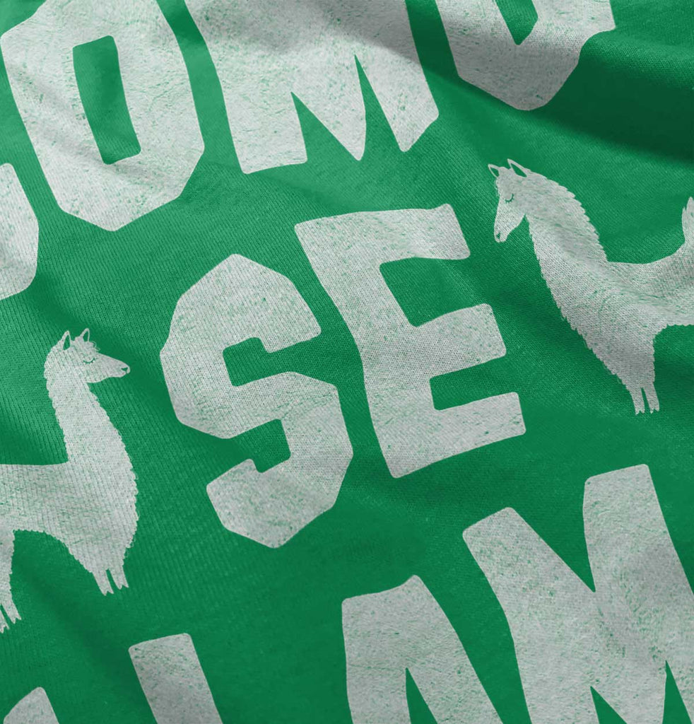 Como Se Llama Romper Bodysuit-Direct To Garment Print-Brisco Baby