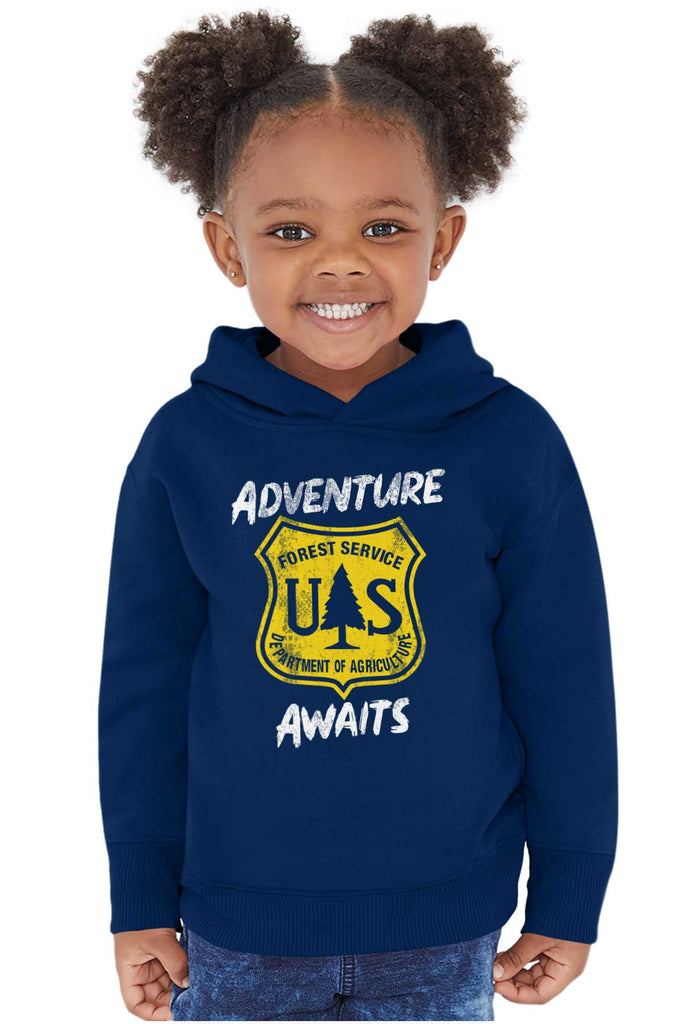 Adventure Awaits Toddler Pullover Hoodie-Direct To Garment Print-Brisco Baby