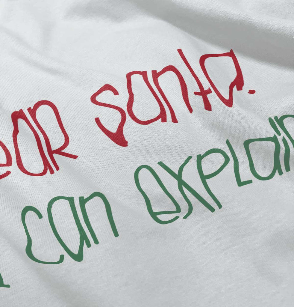 Dear Santa Can Explain Infant Baby Bib-Direct To Garment Print-Brisco Baby