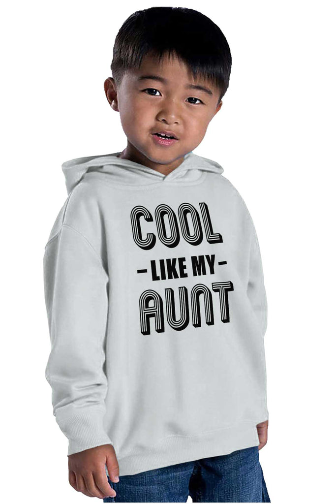 Aunt is Single Toddler Pullover Hoodie-Direct To Garment Print-Brisco Baby
