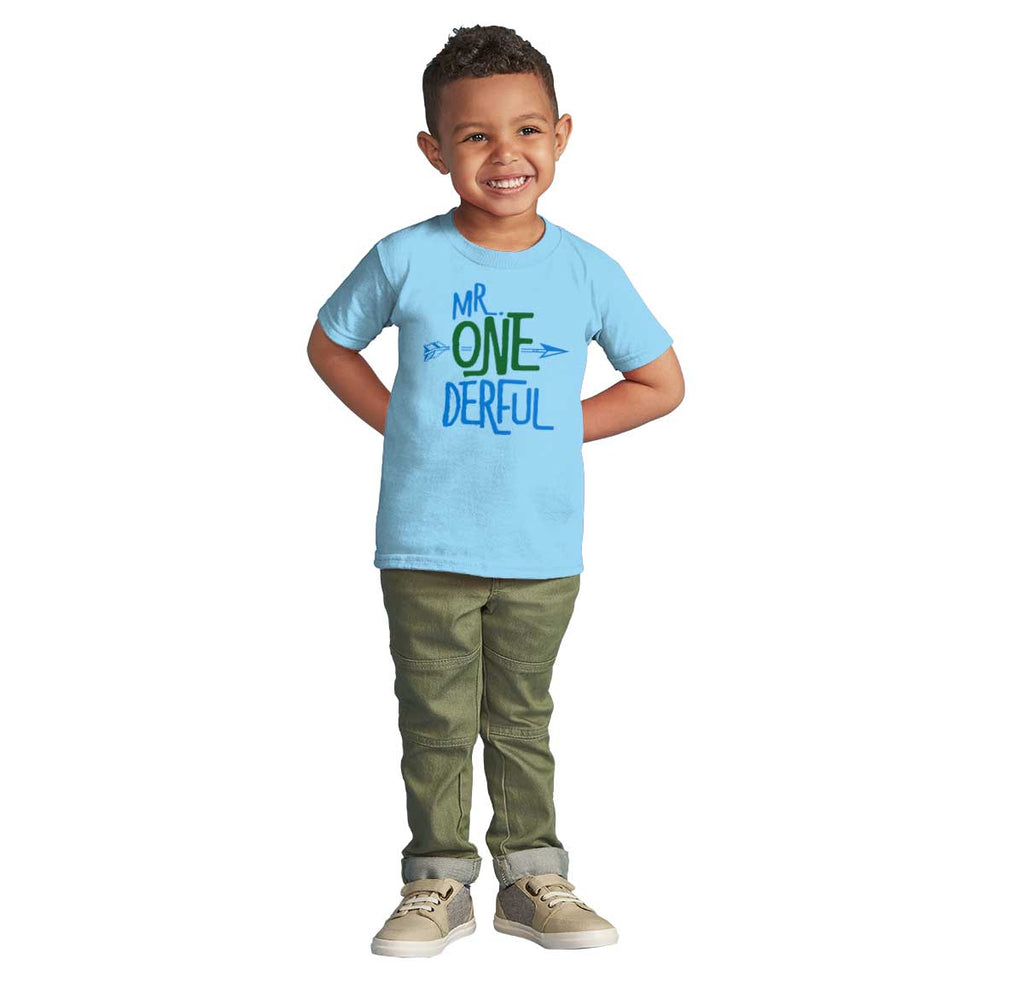 Mr. Onederful Infant Toddler T Shirt-Direct To Garment Print-Brisco Baby