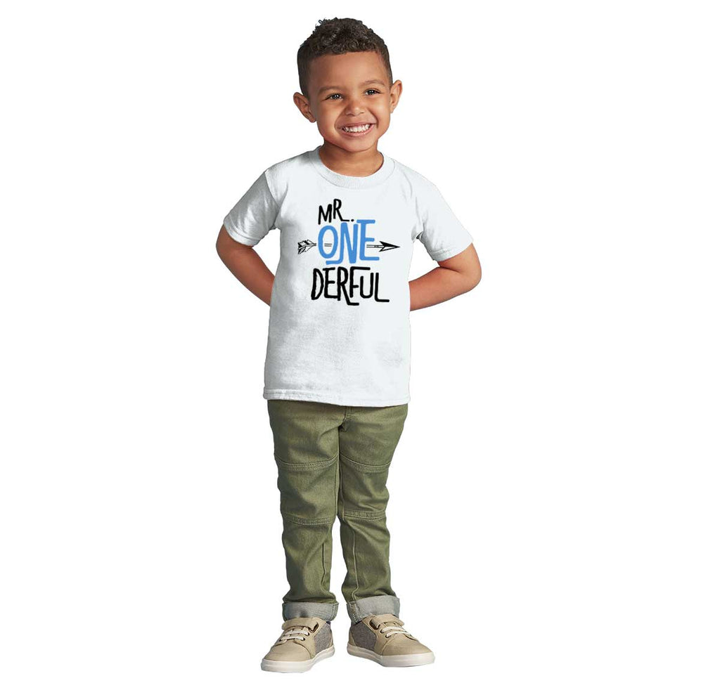 Mr. Onederful Infant Toddler T Shirt-Direct To Garment Print-Brisco Baby