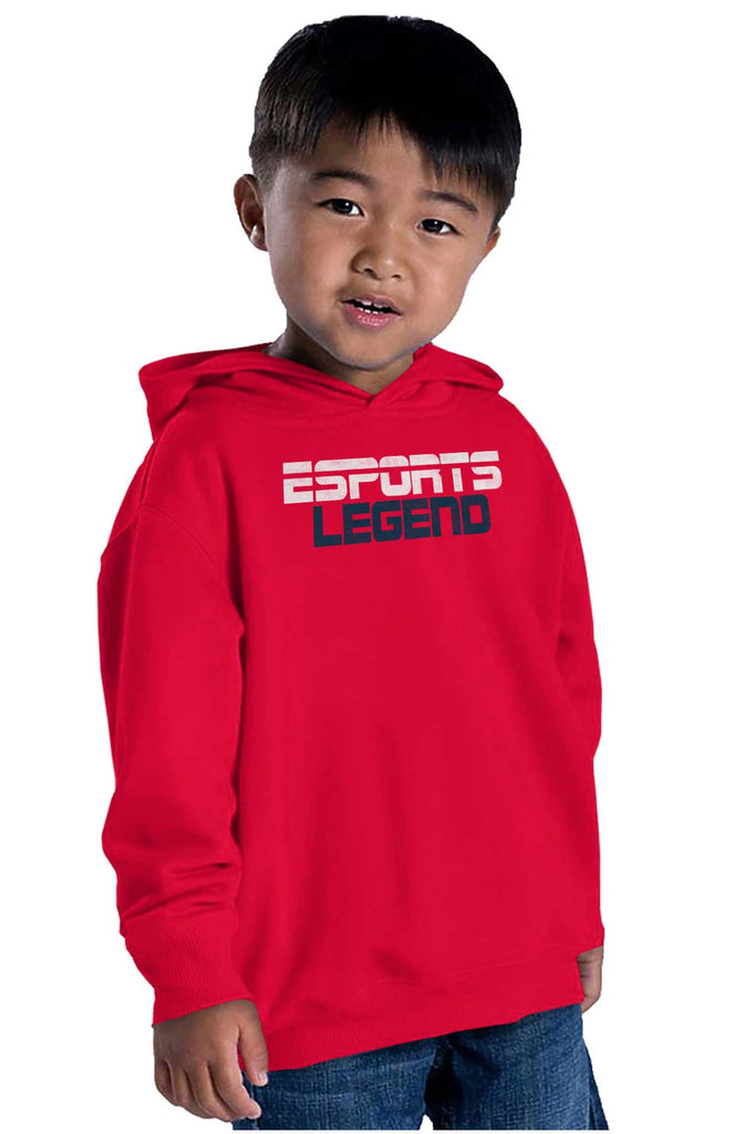 Sports Legend Professional Gamer Toddler Pullover Hoodie-Direct To Garment Print-Brisco Baby
